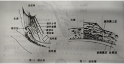 济宁验光师证怎么考