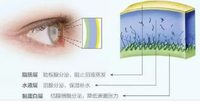 东营验光培训师讲解泪液的功能和特性